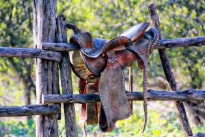 Stables of Shiloh Farms | Auburn, Alabama | Horseback Riding & Dude Ranches