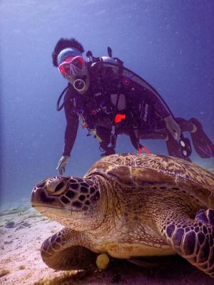 Scuba Diving & Snorkeling in Middle East