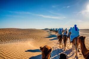 Camel Riding in Ouarzazate, Morocco