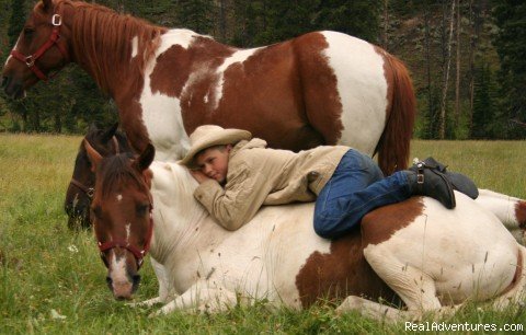 A boy & his horse