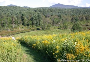 Wonderful Views at Marshfield Inn & Motel | Marshfield, Vermont Bed & Breakfasts | Great Vacations & Exciting Destinations