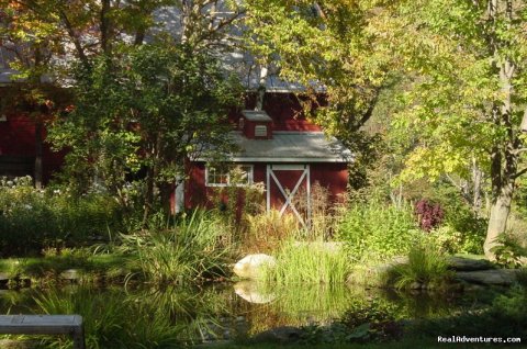 West Hill House Pond & Gardens