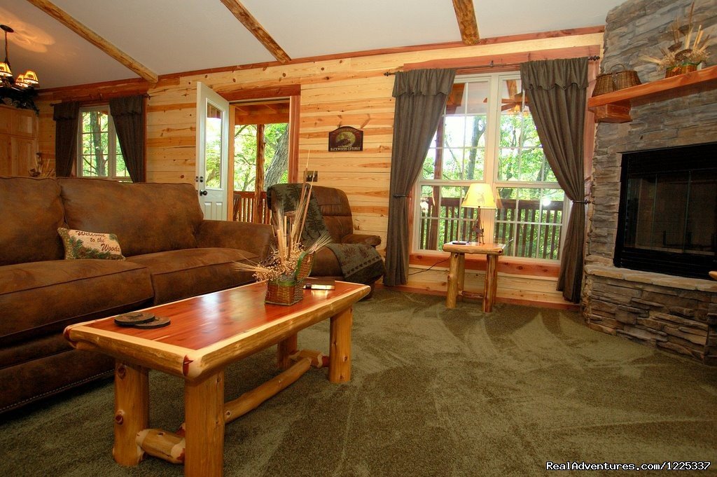 Lake Forest Cabins in the Beaver Lake Area | Image #4/8 | 