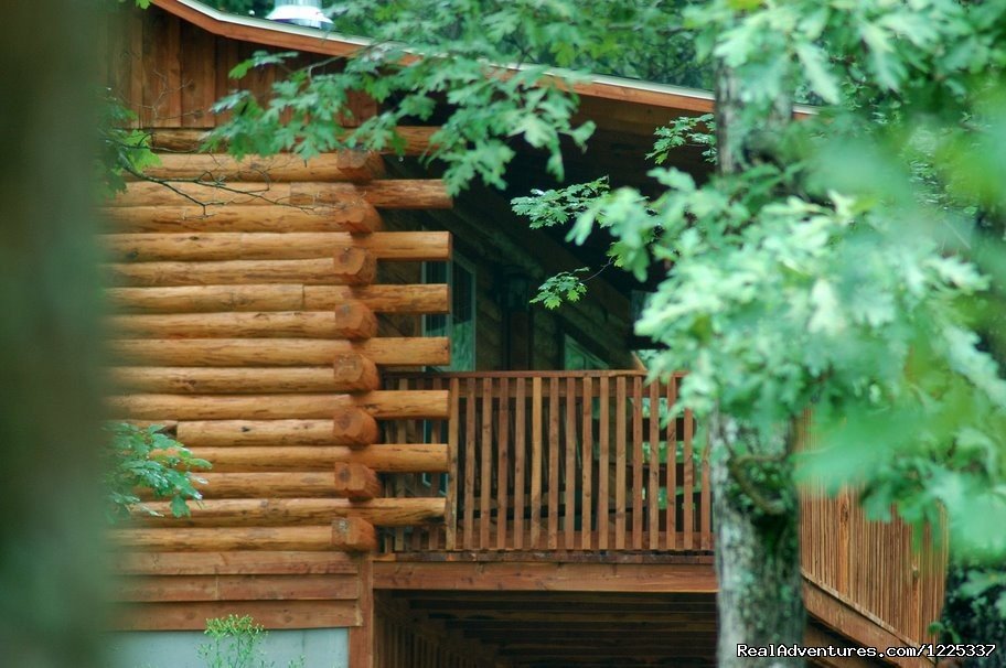 Lake Forest Cabins in the Beaver Lake Area | Eureka Springs, Arkansas  | Vacation Rentals | Image #1/8 | 