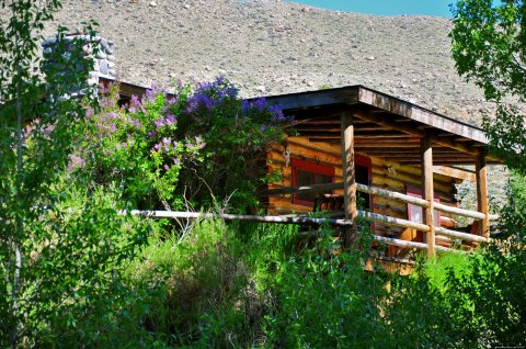 CM Ranch cabin overlooking the stream
