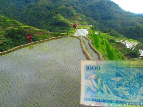 Visit the 1,000 Peso Bill