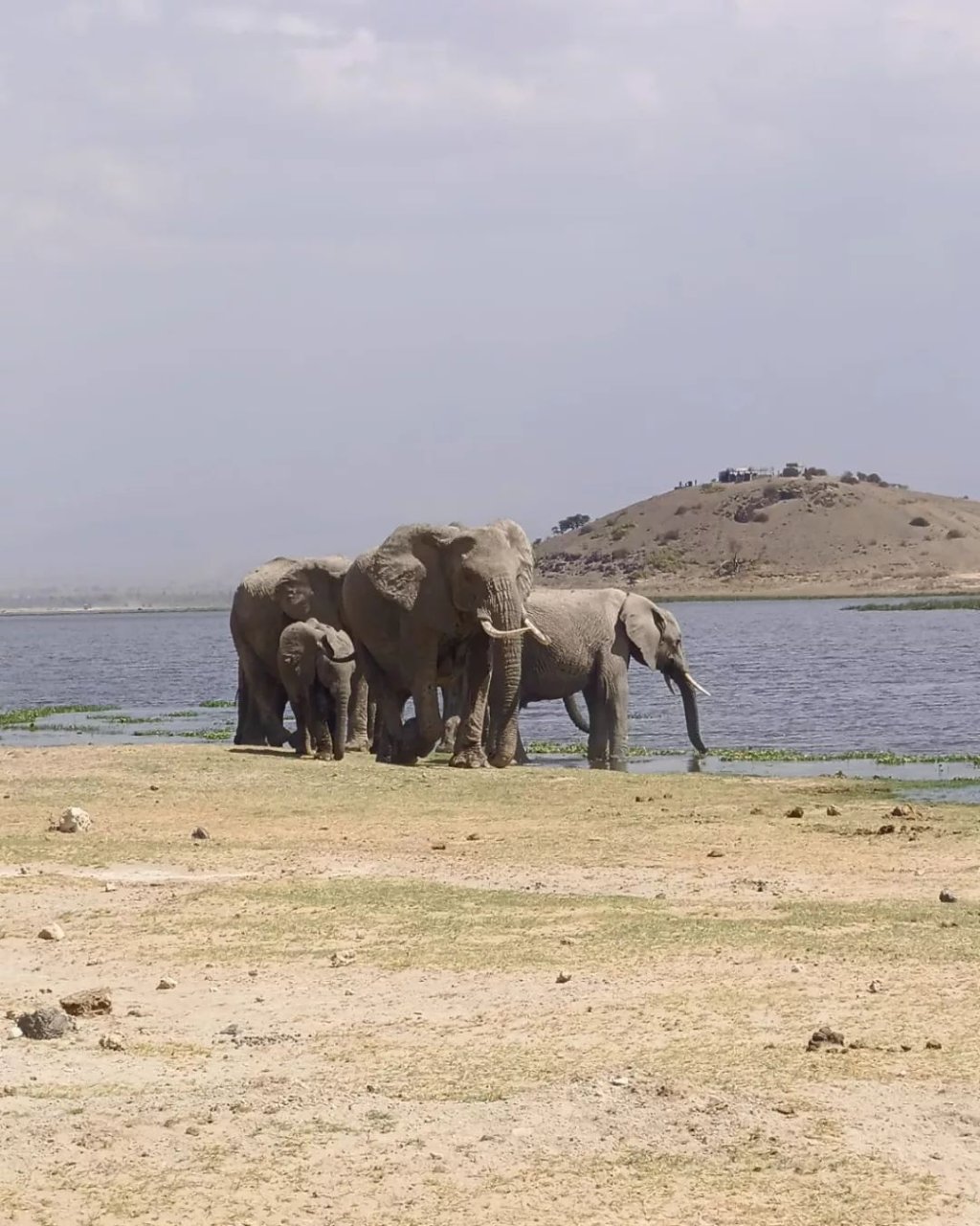 Masai Mara | 4 Days Kenya Budget Safari Nairobi-maasai Mara-lak | Image #2/3 | 
