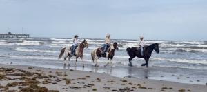 Silver Stallion Ranch | Markham, Illinois | Horseback Riding & Dude Ranches