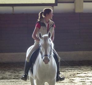 New Traditions Riding Academy, LLC | Palos Hills, Illinois | Horseback Riding & Dude Ranches