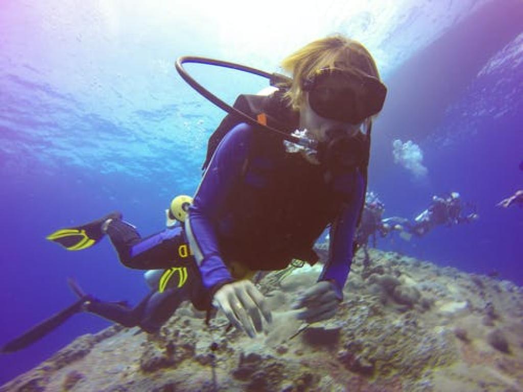 Fathom Five Ocean Quest Divers