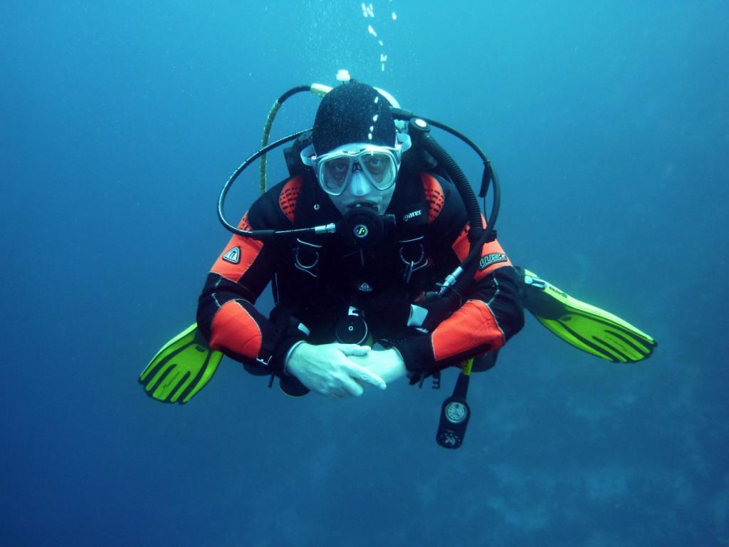 Reef Runner Divers - Puerto Viejo Caribbean