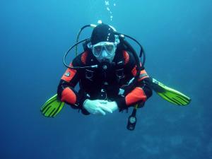 Haigh Quarry | Kankakee, Illinois | Scuba Diving & Snorkeling