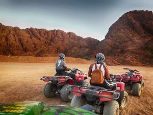 ATV Guided Tours in Ocala National Forest | Ft. McCoy, Florida | ATV Riding & Jeep Tours