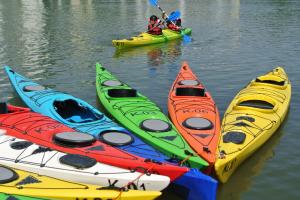 Manitou Pantoon Boats | Lansing, Michigan | Kayaking & Canoeing