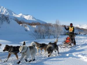 Mahoosuc Guide Service | Newry, Maine | Dog Sledding