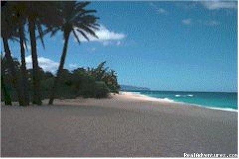 Photo #1 | Sunset Beach 1-Bed/1-Bath Vacation Rental | Haleiwa, Hawaii  | Vacation Rentals | Image #1/1 | 