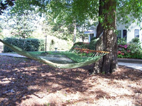 the hammock