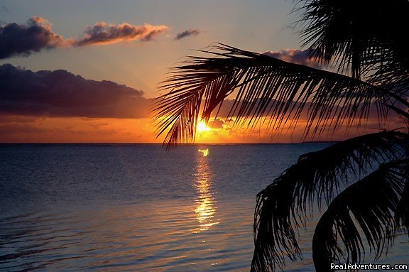 Sunrises are not to be missed | Cayman Breeze Luxury Beachfront Condo at Rum Point | Image #4/20 | 