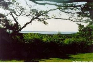 Celeb Owned Hilltop Waterview Retreat | Chilmark, Massachusetts | Vacation Rentals