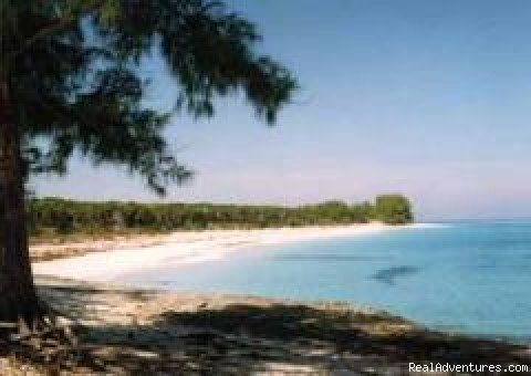 Beaches | Bahamas Home Rentals | Image #3/3 | 
