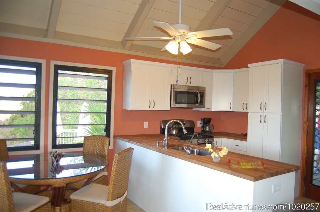 Fully equipped and remodled new kitchen | Sundancer Villa - Privacy w Pool & Hot Tub | Image #7/19 | 