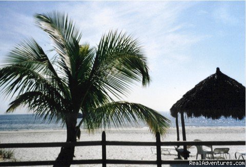 Estero Sands Condos----Ft Myers Beach FL | Image #7/7 | 