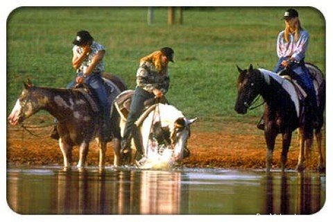 Riders at the lake | Southern Cross Guest Ranch | Madison, Georgia  | Horseback Riding & Dude Ranches | Image #1/22 | 