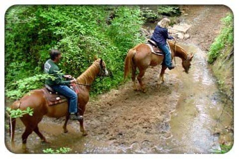 Crossing a stream | Southern Cross Guest Ranch | Image #4/22 | 