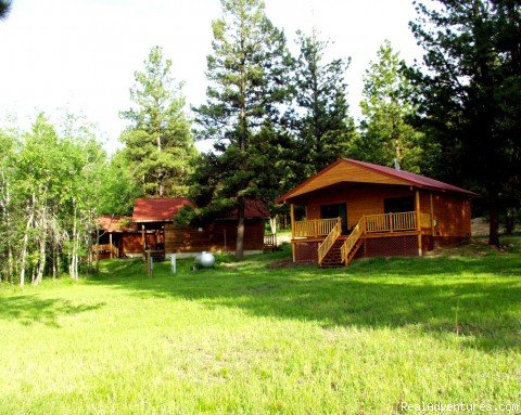 Newer Western Cabins nestled in the trees | Discover The Rich Ranch Outfitting And Guest Ranch | Image #4/14 | 