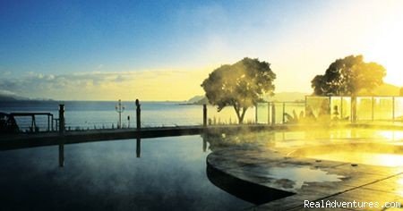 Poolside View & Ocean | Paihia Beach Resort, New Zealand | Image #2/3 | 