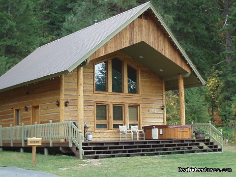 Aspen Cabin - Mountain Springs Lodge, Lodging and Activities - north 