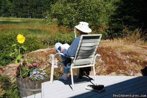 Bird watching deck | Otters Pond Bed and Breakfast on Orcas Island | Eastsound, Washington  | Bed & Breakfasts | Image #1/4 | 