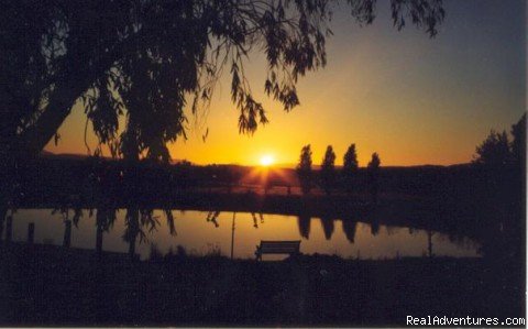 A beautiful sunset from the silver birch garden | Romantic Buttercup Cottage & Private Apartment | Merrijig, Australia | Bed & Breakfasts | Image #1/6 | 