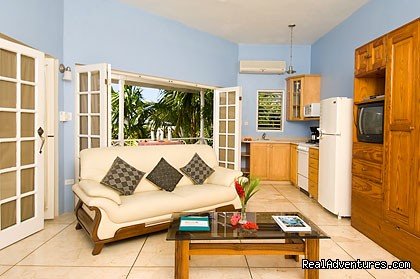 One bedroom beachfront villa living room