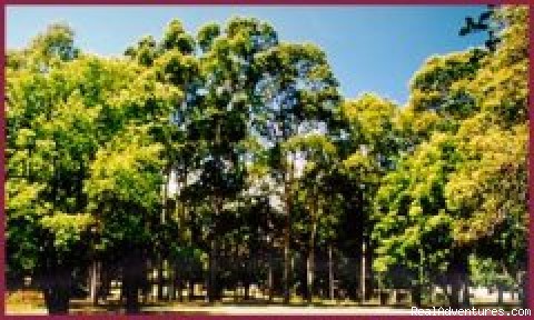 Parramatta Serviced & Furnished Apartments, Sydney: Photo #7