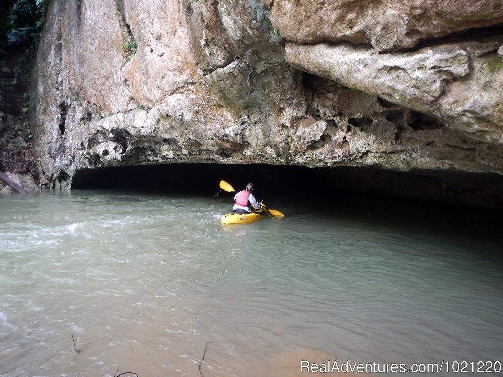 Kayaking the Caves Branch River | Belize Adventure Island, Glover's Reef | Image #10/13 | 