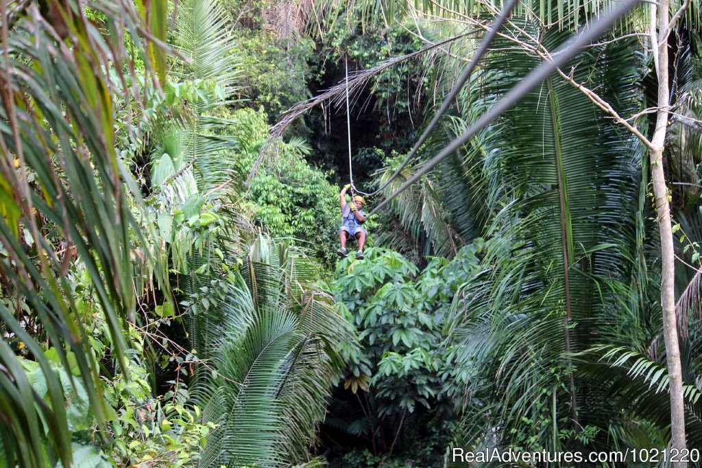 Ziplining the Belizean Jungle | Belize Adventure Island, Glover's Reef | Image #13/13 | 