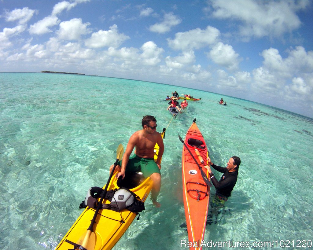 Snorkeling from the kayaks. | Belize Adventure Island, Glover's Reef | Image #4/13 | 