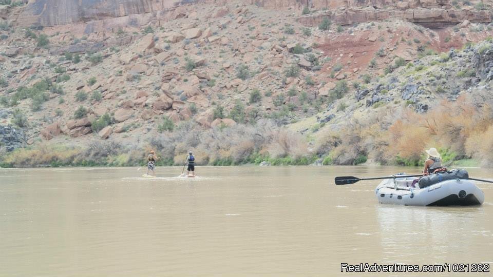 Standup Paddle Board Trips on 8 rivers | Bill Dvorak Rafting, Kayak & Fish Exp.Since 1969 | Image #11/18 | 