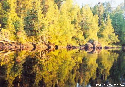 Glorious Autumn color show | Wilderness canoe trips with Voyageur North Ely MN | Image #4/11 | 