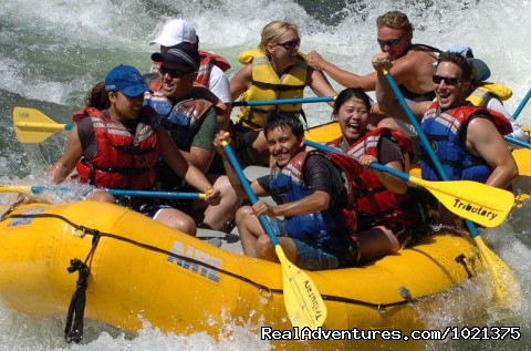 California rafting from Mild to Wild - many rivers Fun rafting on the South Fork American River