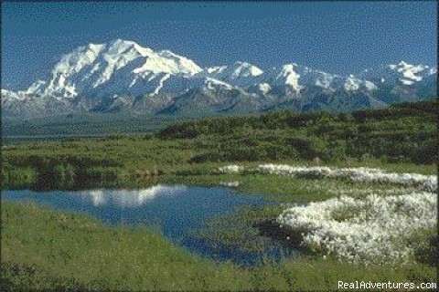 Alaska Travel Tours & Trips - small group vacation tour packages from 