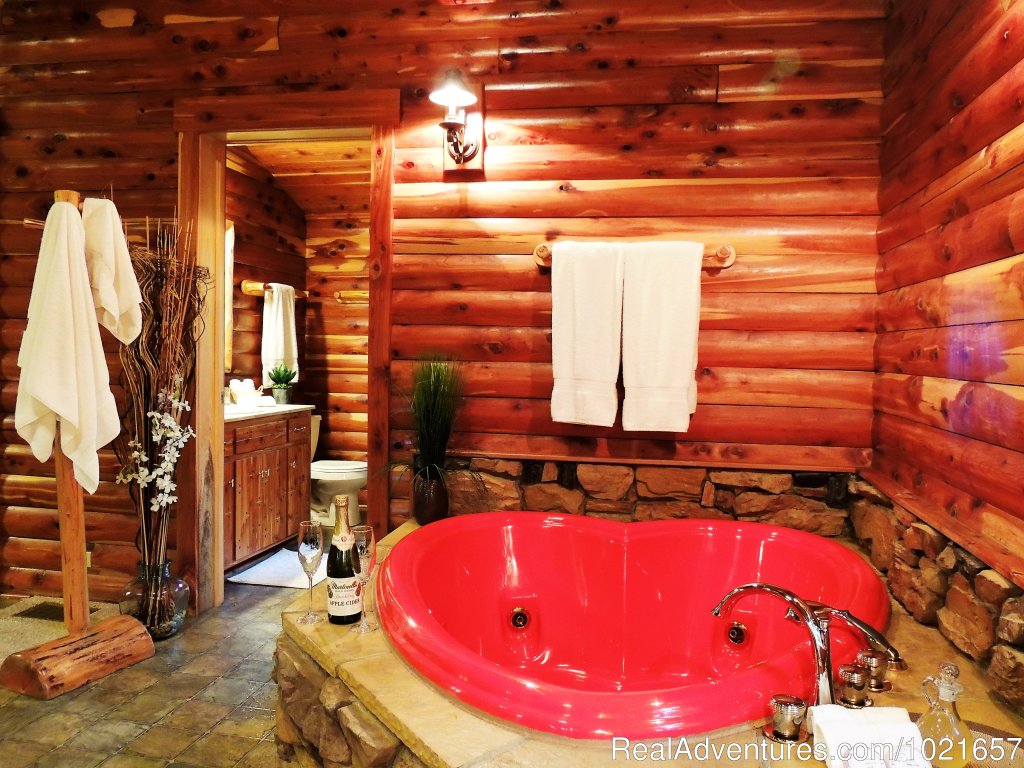 Romantic Secluded Cabins--Donna's Premier Lodging | Image #13/19 | 