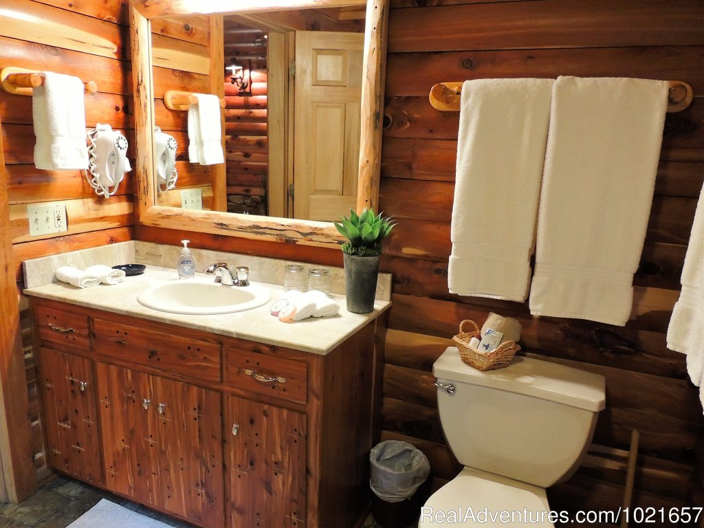 Romantic Secluded Cabins--Donna's Premier Lodging | Image #17/19 | 
