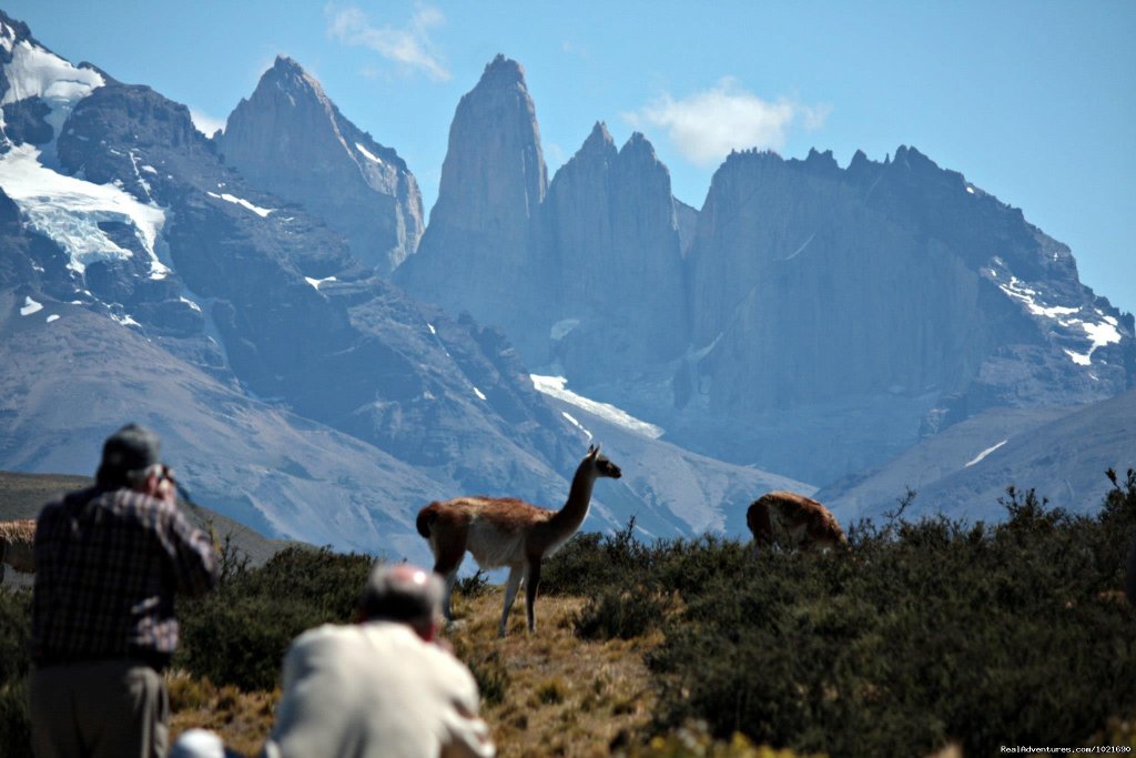 Torres del Paine Nat. Park | Discovering Patagonia Tour | Image #7/12 | 