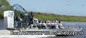Nature and Wildlife Adventures Florida | Melbourne Beach, Florida Eco Tours | Great Vacations & Exciting Destinations