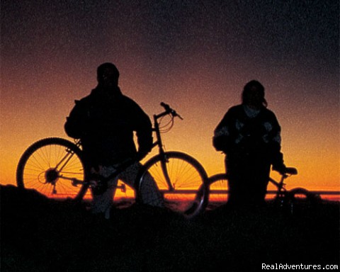 Downhill Bike Maui At Your Own Pace Photo