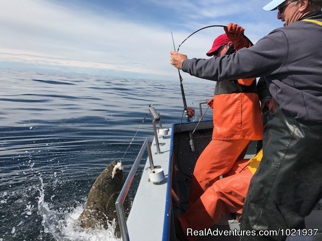 Halibut on the hook | Fantastic Deep-Sea Fishing in Alaska | Image #4/10 | 