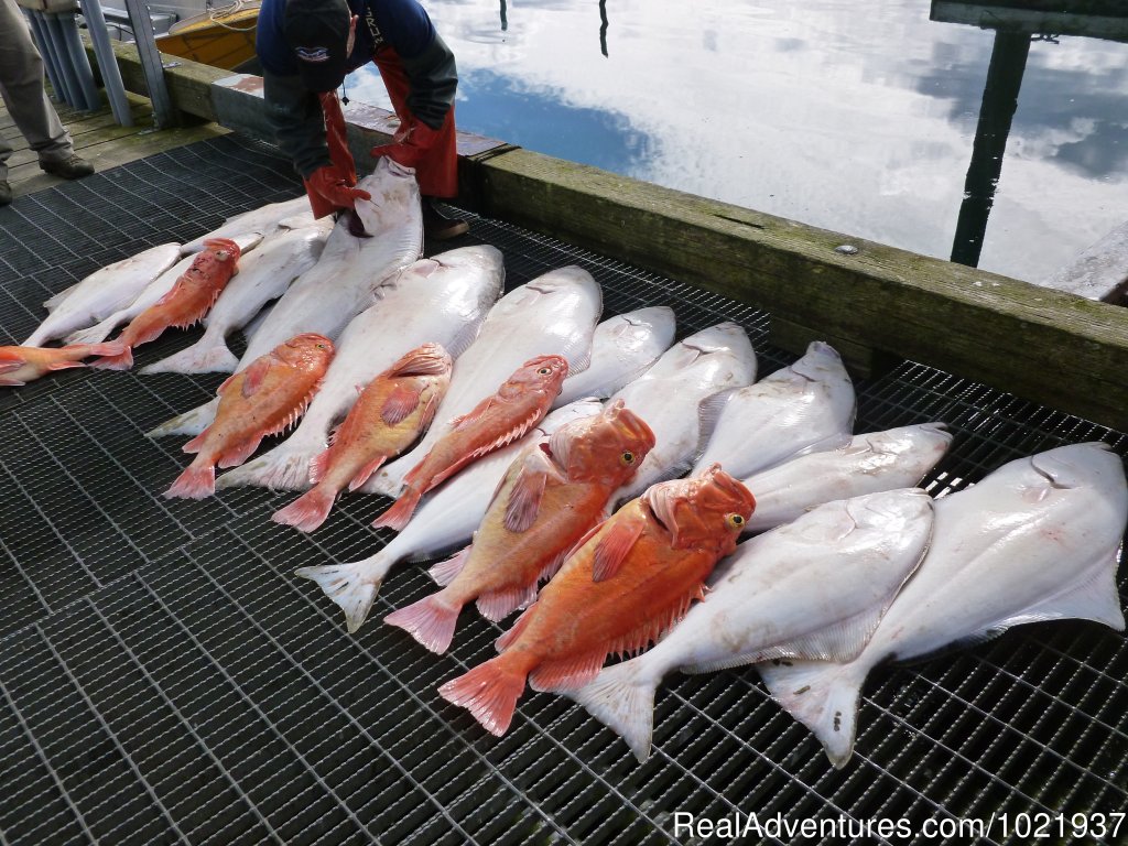 Day's catch laid on the dock | Fantastic Deep-Sea Fishing in Alaska | Image #2/10 | 
