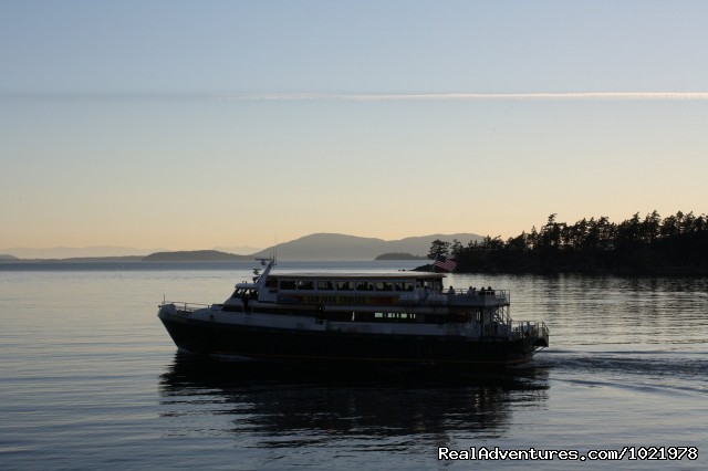 Chuckanut Crab Dinner Cruise From Bellingham Photo